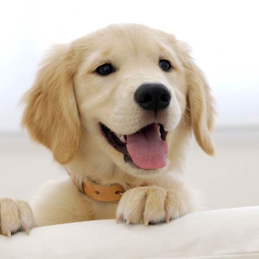 Hd-157706-ascw157706