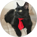 Image Google de casper