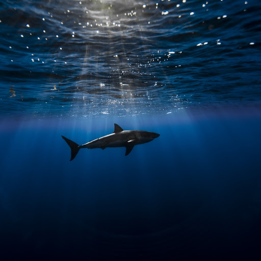 Hd-162605-ascw162605