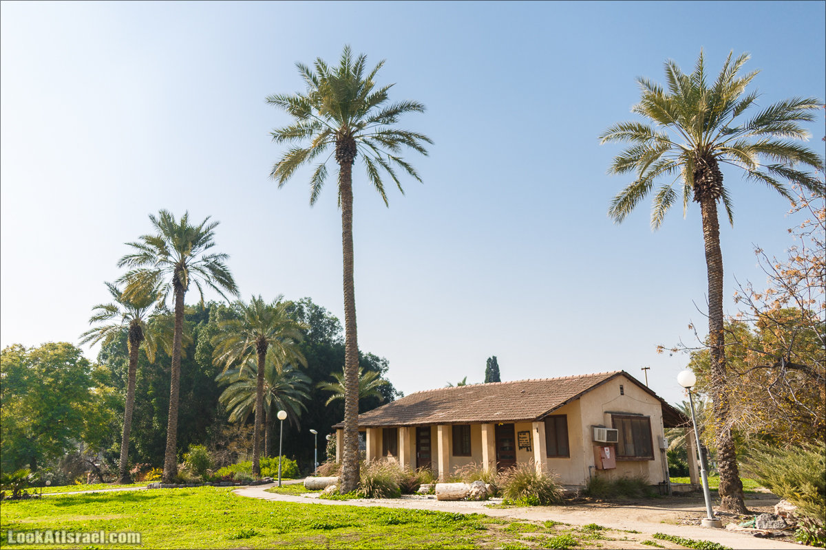 LookAtIsrael.com - Киббуц Кфар Рупин | Kibbutz Kfar Rupin | קיבוץ כפר רופין
