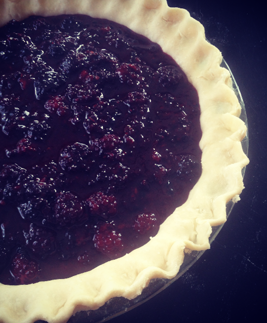 Homemade Blackberry Pie with the Best Homemade Pie Crust
