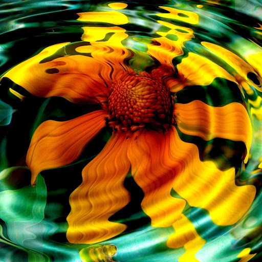 Hd-132751-ascw132751