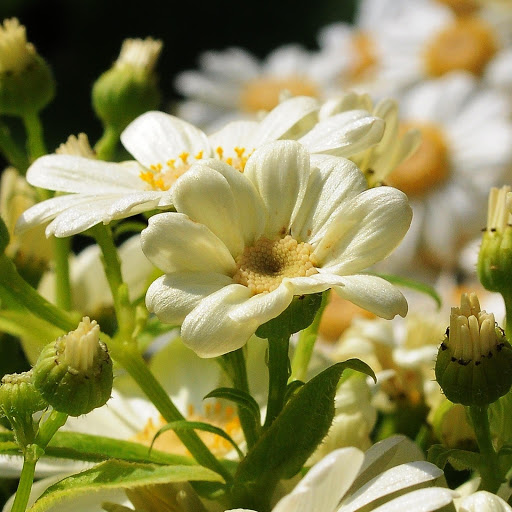 Hd-148361-ascw148361