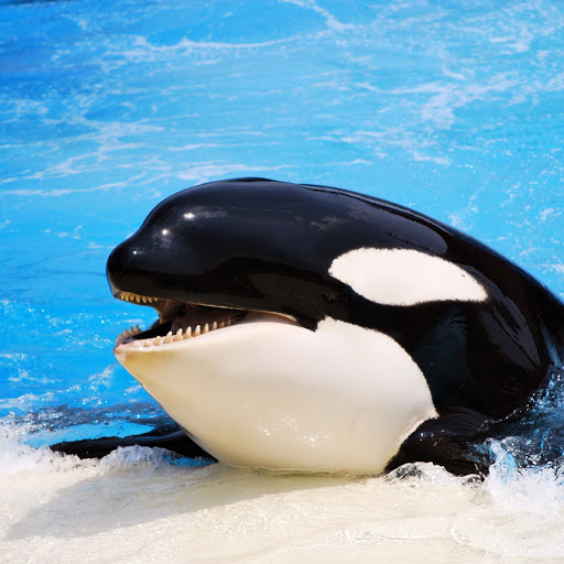 Hd-157190-ascw157190