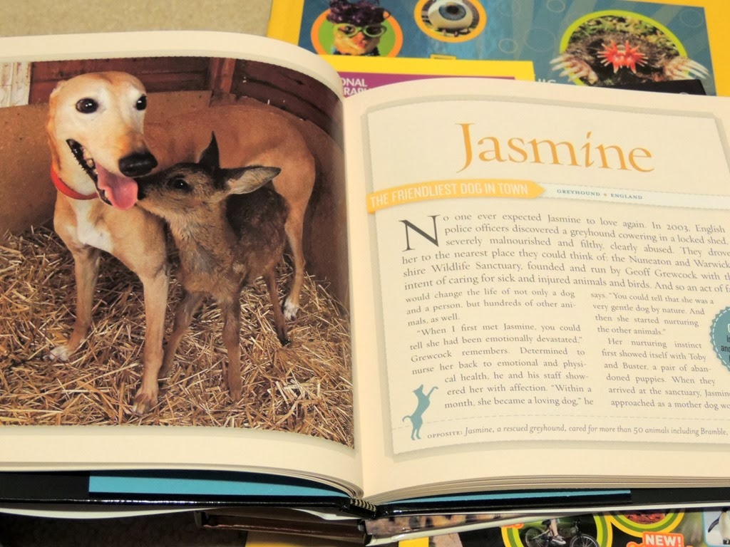 [DSCN6880%255B3%255D.jpg]