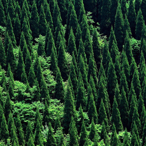 Hd-132373-ascw132373