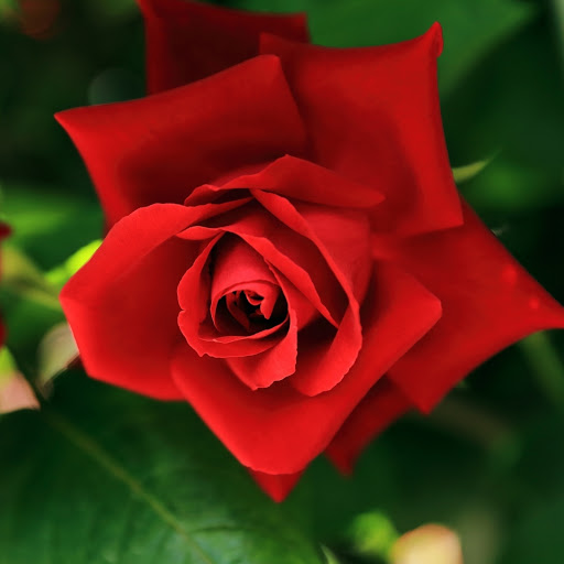 Hd-190567-ascw190567