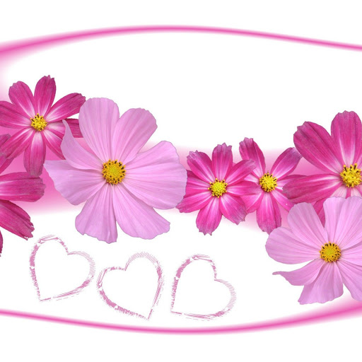 Hd-150529-ascw150529