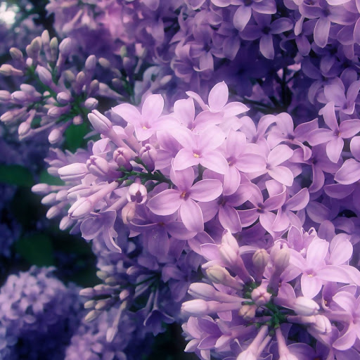 Hd-154295-ascw154295