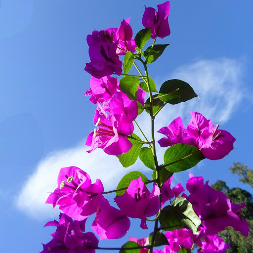 Hd-152529-ascw152529