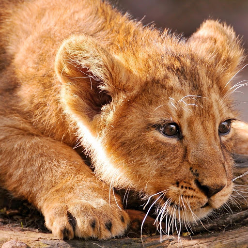 Hd-168340-ascw168340