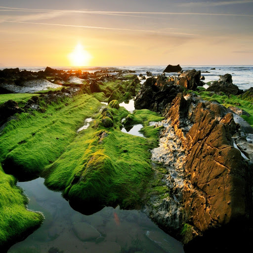 Hd-161777-ascw161777