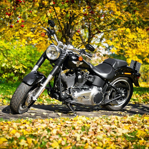 Hd-141721-ascw141721