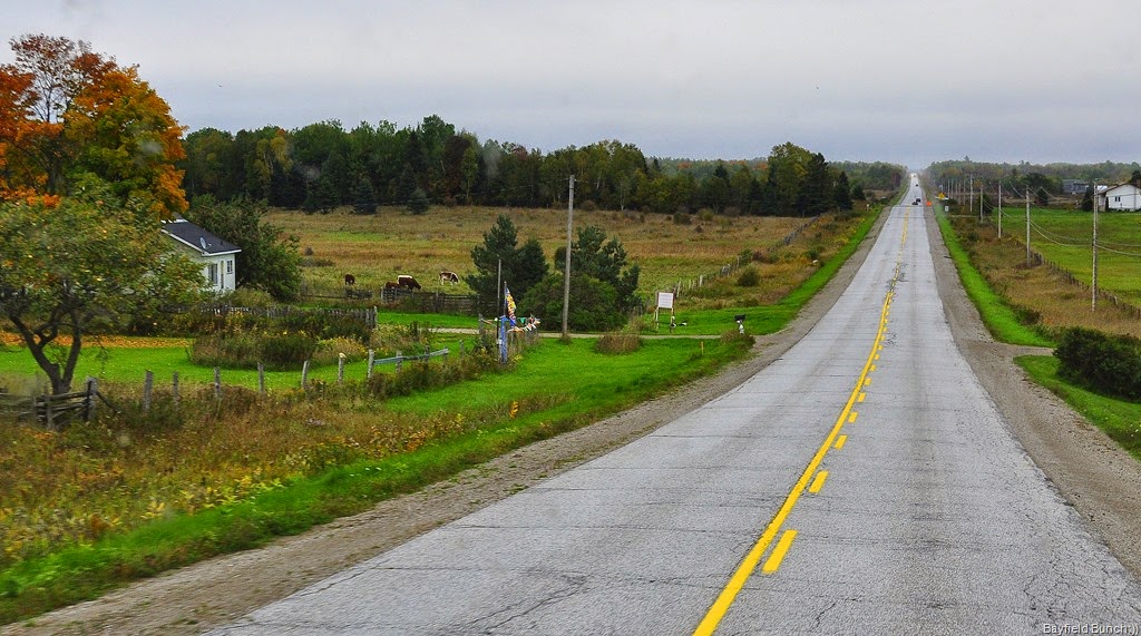 [DSC_0010%255B6%255D.jpg]