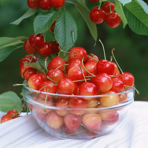 Hd-131902-ascw131902