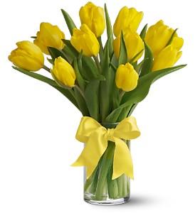 floresrainha5.jpg
