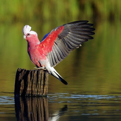 Hd-180072-ascw180072