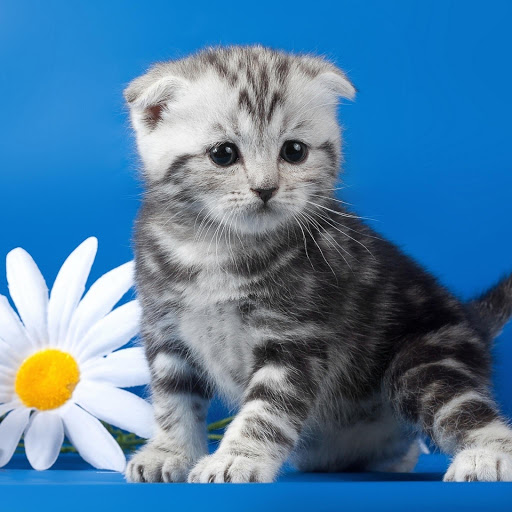 Hd-162949-ascw162949