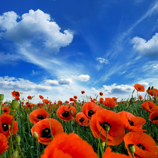 Hd-143629-ascw143629