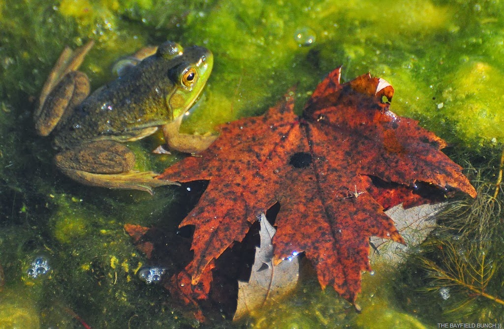 [DSC_0038%255B5%255D.jpg]