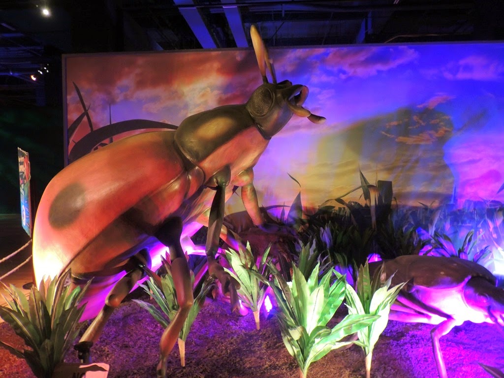 [DSCN1389%255B3%255D.jpg]