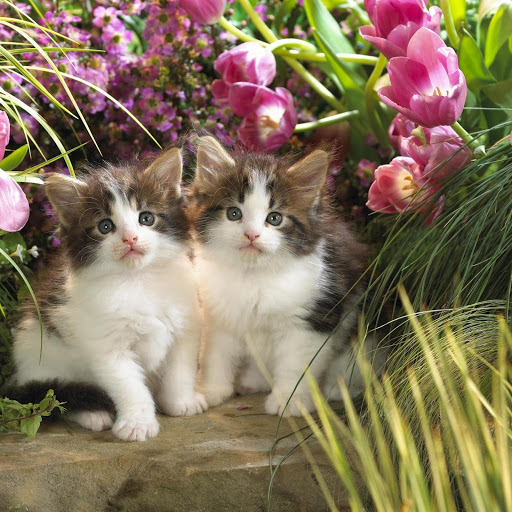 Hd-157101-ascw157101