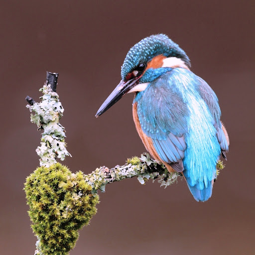 Hd-164481-ascw164481