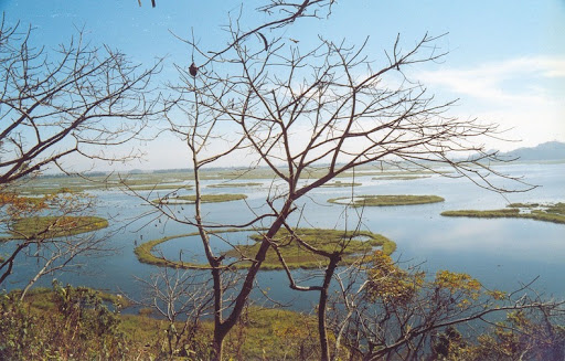 green landscape and beautiful nature over loktak lake manipur india Stock  Photo  Alamy
