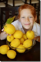 Lemons4