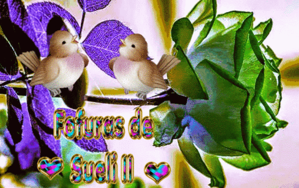 photo_name.gif