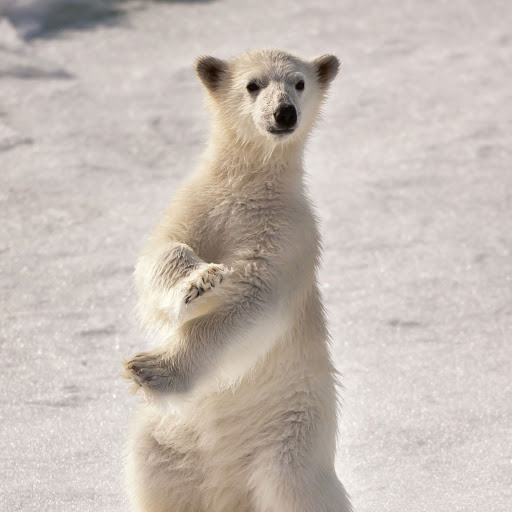 Hd-182089-ascw182089