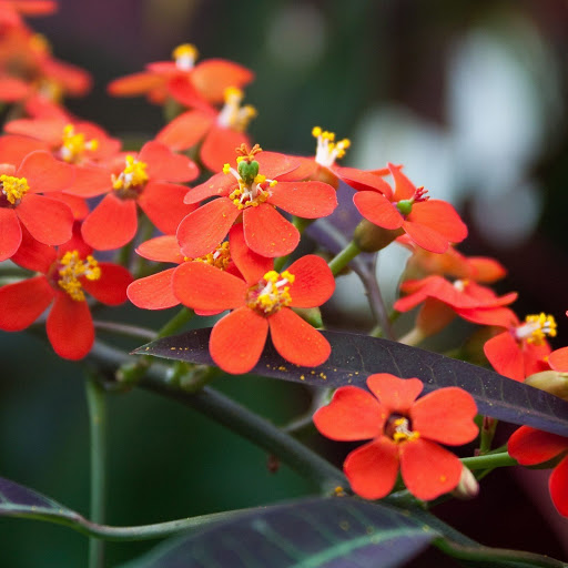 Hd-152476-ascw152476