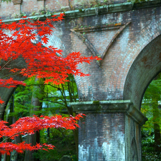 Hd-161312-ascw161312