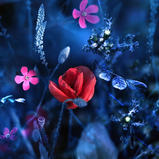 Hd-142166-ascw142166