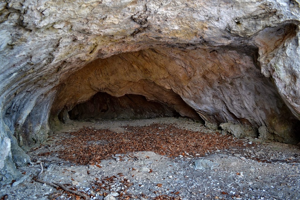 [DSC_16523.jpg]