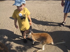 IMG_8718 IMG_8718