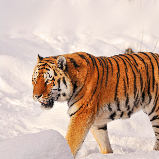 Hd-159928-ascw159928