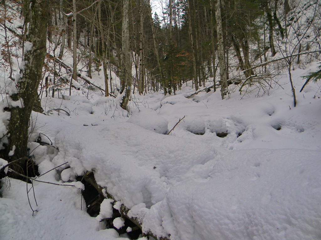 [DSCN35403.jpg]