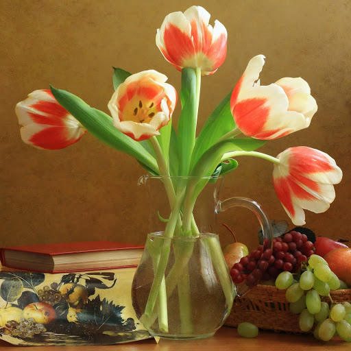 Hd-160227-ascw160227