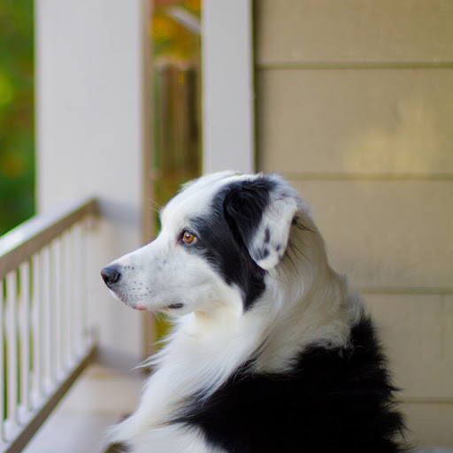 Hd-180690-ascw180690