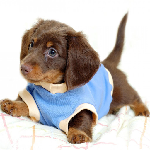 Hd-135349-ascw135349