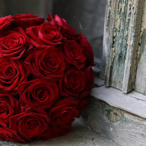 Hd-164986-ascw164986