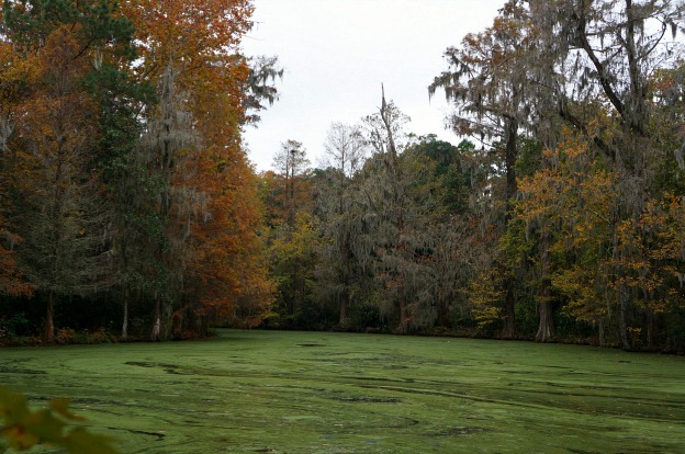 [Marsh%255B5%255D.jpg]