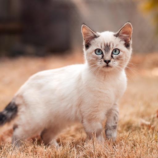 Hd-177264-ascw177264