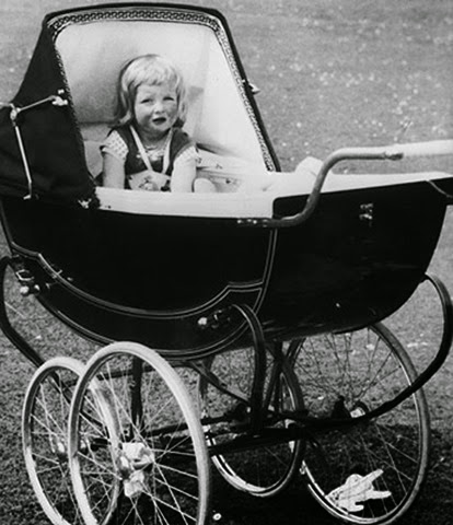 Diana Frances Spencer, nació el 1 de julio de 1961 en Inglaterra. Foto Tomada de www.weird-websites.info