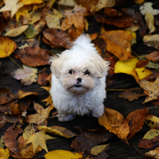 Hd-175468-ascw175468