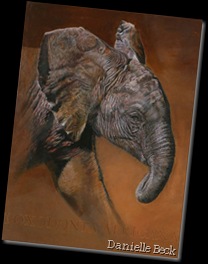Danielle Beck. Bébé éléphant, Serengeti. Huile
