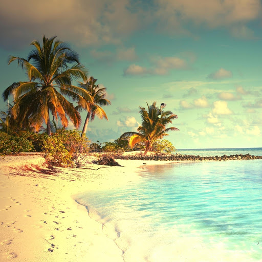 Hd-160033-ascw160033