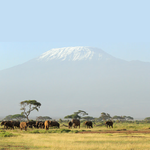 Hd-137968-ascw137968