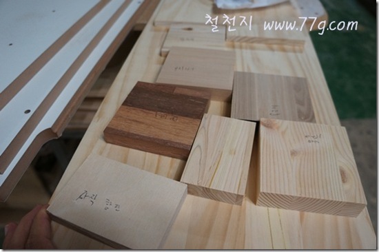 철천지DSC01842-20121004-154325